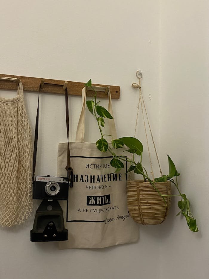 Crochets muraux avec sac suspendu, appareil photo vintage et plante en pot pour une décoration élégante.